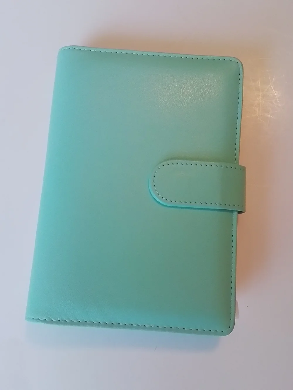 Mint Green Budget Binder